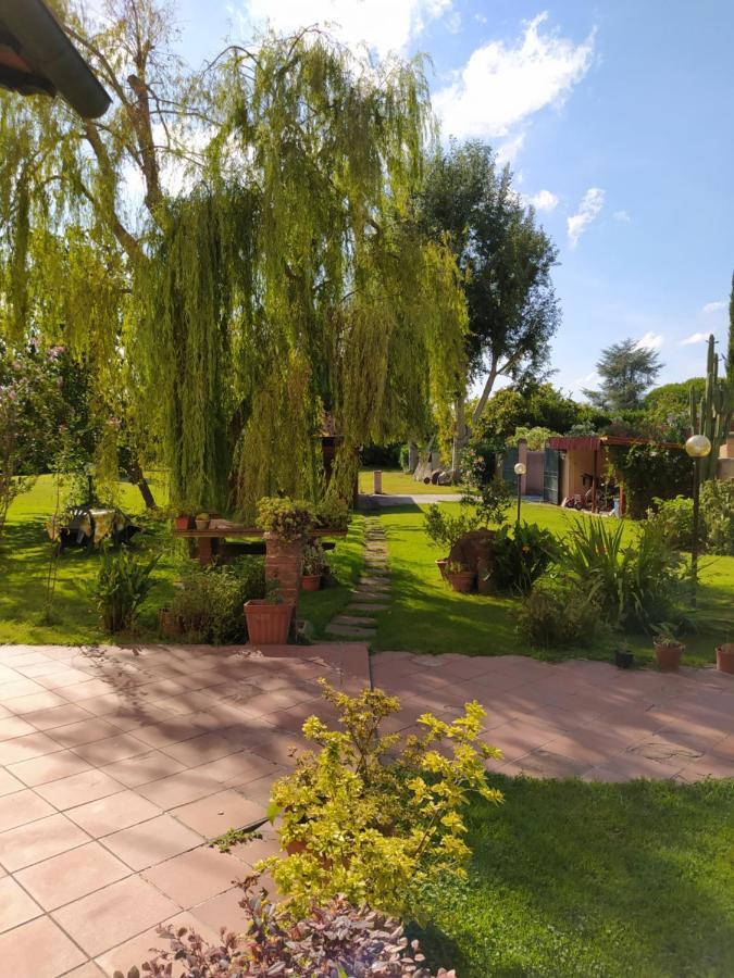 Villa Favilli Piza Zewnętrze zdjęcie