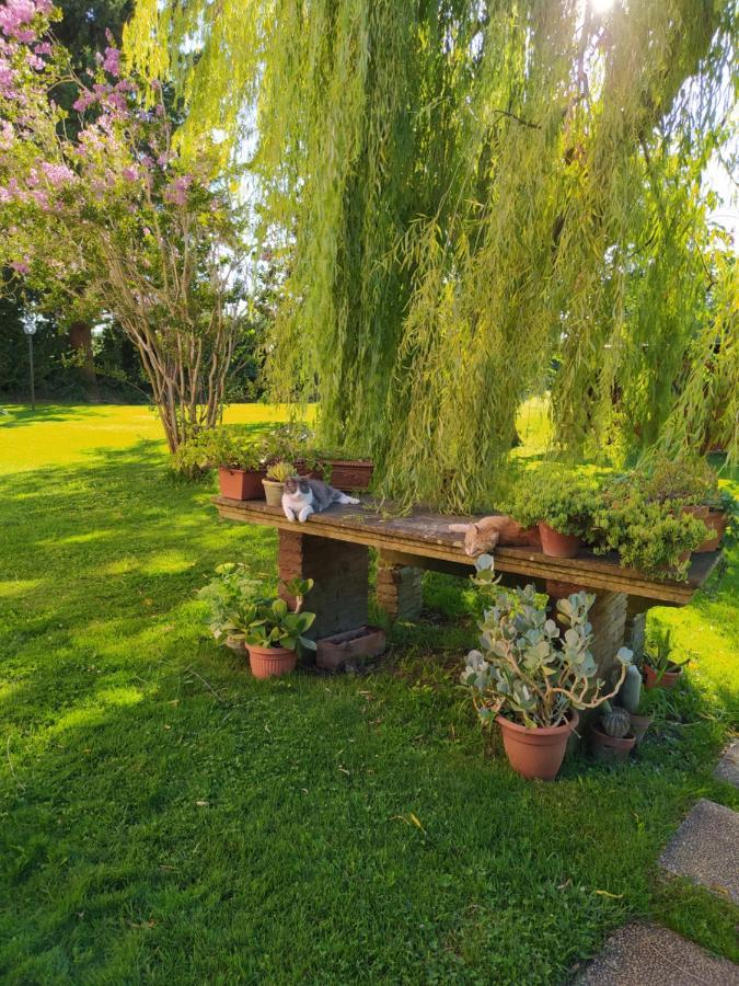 Villa Favilli Piza Zewnętrze zdjęcie