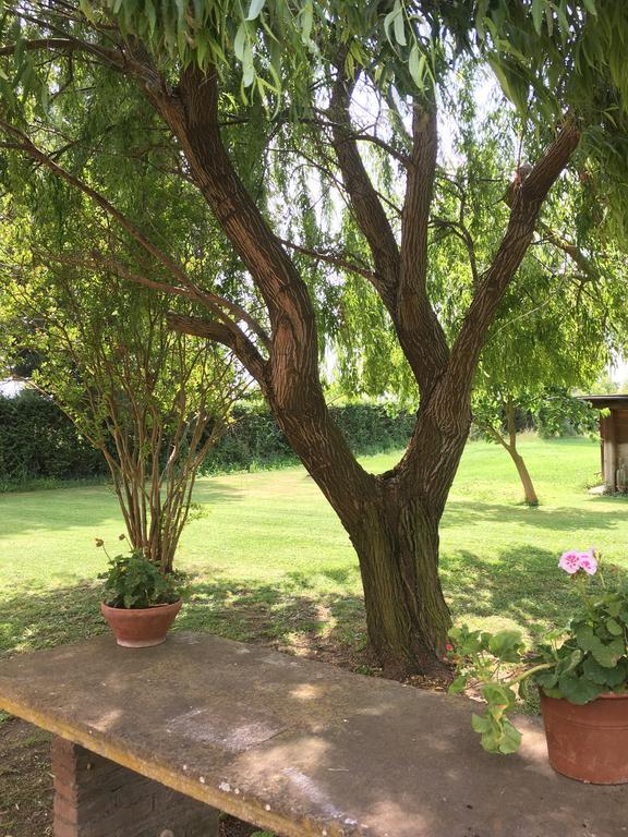 Villa Favilli Piza Zewnętrze zdjęcie
