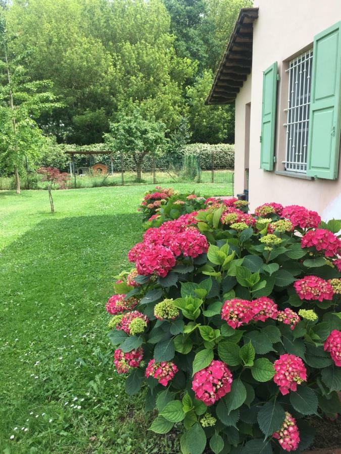 Villa Favilli Piza Zewnętrze zdjęcie